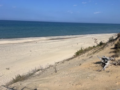 Lake Home For Sale in Newberry, Michigan