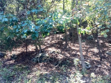 Lake Lot For Sale in Rogers, Arkansas