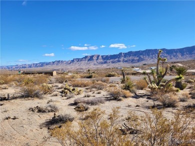 Lake Mead Lot For Sale in Meadview Arizona