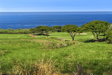 Hokuli'a Phase I, lot 236, is an outstanding home site with a - photo 4