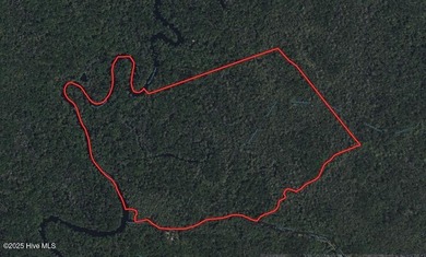 (private lake, pond, creek) Acreage For Sale in Ash North Carolina
