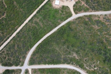 Lake Lot For Sale in Millersview, Texas