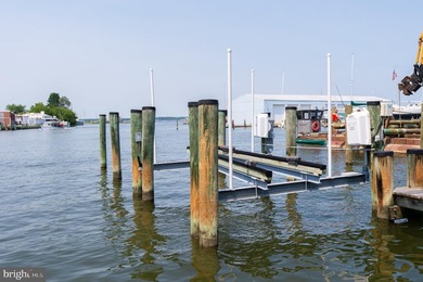 Cambridge Landing is more than a waterfront community-it's a - photo 33