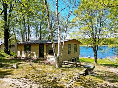 Charming Lake Sylvia Cottage, nestled on the scenic shores of - photo 4
