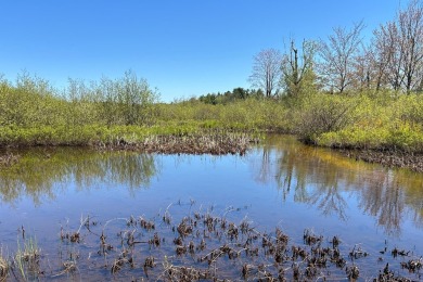 Trout Lake Lot For Sale in Trout Lake Michigan
