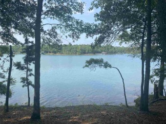 *The Peninsula at Sidney Point*, the flagship property of Lake - Lake Lot For Sale in Hartwell, Georgia