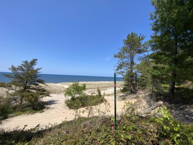 Lake Acreage For Sale in Newberry, Michigan