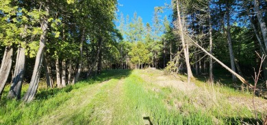 Lake Huron - Mackinac County Lot For Sale in Hessel Michigan