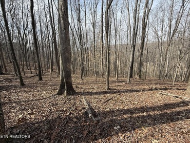 If you're looking for that special property to build your ''GET - photo 18
