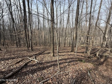 If you're looking for that special property to build your ''GET - photo 22
