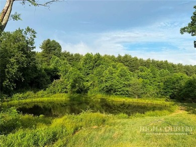 Experience an ideal blend of modern comfort and mountain living - photo 29