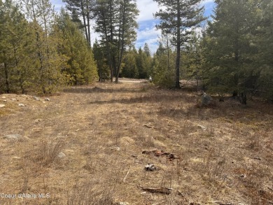 Lake Pend Oreille Acreage For Sale in Athol Idaho