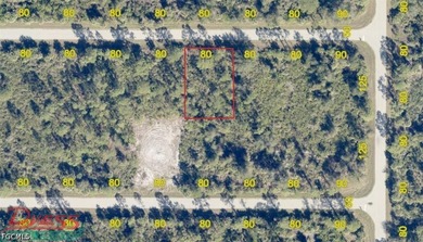 This is a 0.23 acre (80'x125') parcel located in Port Charlotte - photo 1