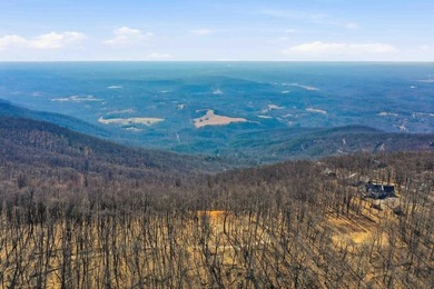 Lake Tamarack Acreage For Sale in Jasper Georgia