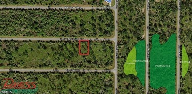 This is a 0.23 acre (80'x125') parcel located in Port Charlotte - photo 2