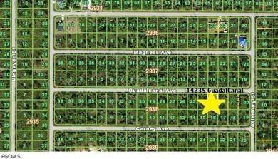 This is a 0.23 acre (80'x125') parcel located in Port Charlotte - photo 3