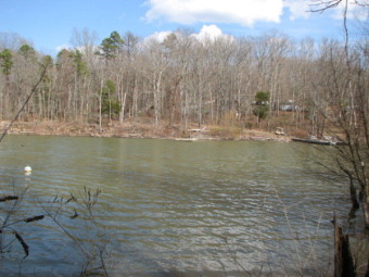 One of The last good Lake Point Lots - Lake Lot For Sale in Buffalo Junction, Virginia