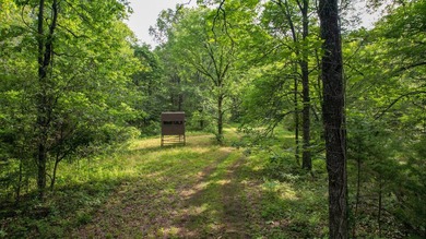 Welcome to Happy Beaver Ranch, an extraordinary 583+/-acre - photo 27