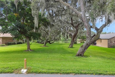 Lake Lot For Sale in Fruitland Park, Florida