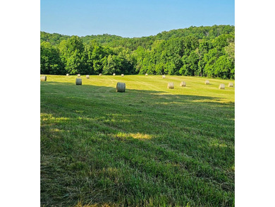 Welcome to Happy Beaver Ranch, an extraordinary 583+/-acre - photo 31