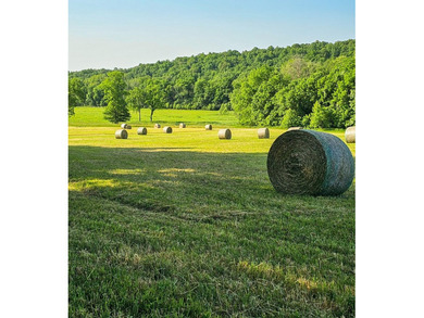 Welcome to Happy Beaver Ranch, an extraordinary 583+/-acre - photo 32