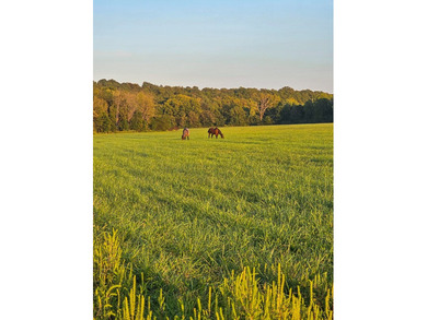 Welcome to Happy Beaver Ranch, an extraordinary 583+/-acre - photo 33