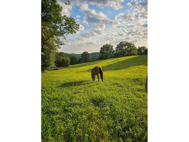 Welcome to Happy Beaver Ranch, an extraordinary 583+/-acre - photo 34