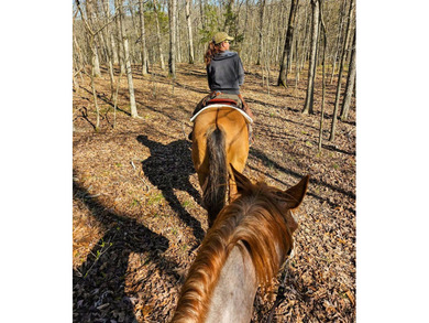 Welcome to Happy Beaver Ranch, an extraordinary 583+/-acre - photo 35