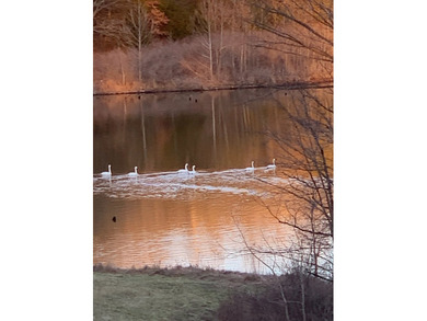 Welcome to Happy Beaver Ranch, an extraordinary 583+/-acre - photo 38