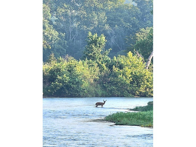 Welcome to Happy Beaver Ranch, an extraordinary 583+/-acre - photo 41