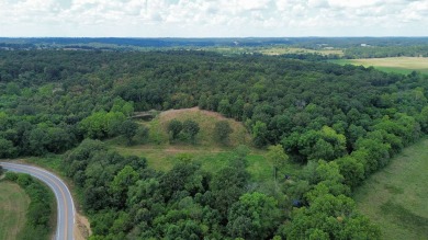 Lake Home For Sale in Oxford, Arkansas