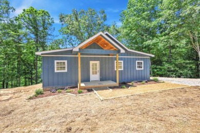 Smith Lake Living at its finest ! This stunning new build boast - Lake Home For Sale in Arley, Alabama