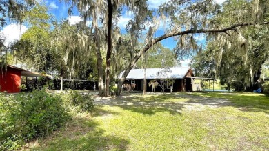 (private lake, pond, creek) Home For Sale in Hawthorne Florida