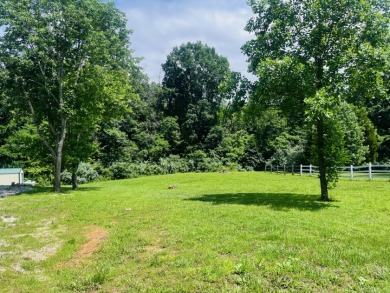 Your Next Investment at Rough River Lake!! - photo 8