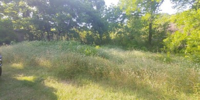 Cedar Creek Lake Lot For Sale in Gun Barrel City Texas