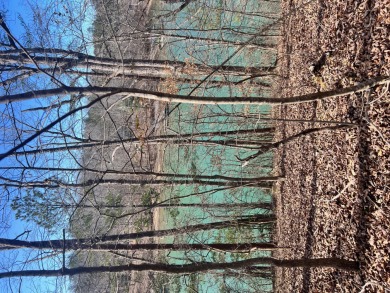 Nice wooded unrestricted Lot on upper end of sipsey river about - Lake Lot For Sale in Double Springs, Alabama