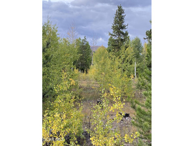 Lake Granby Lot For Sale in Grand Lake Colorado