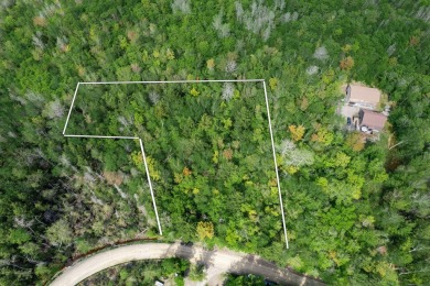 Lake Lot For Sale in Hudson, Maine