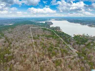 Lake Acreage For Sale in Alpine, Alabama