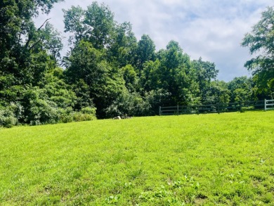 Your Next Investment at Rough River Lake!! - photo 21