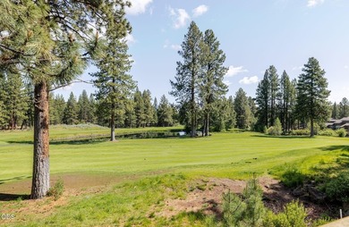 Fully furnished and lightly lived in, this luxury Milepost 1 - photo 24