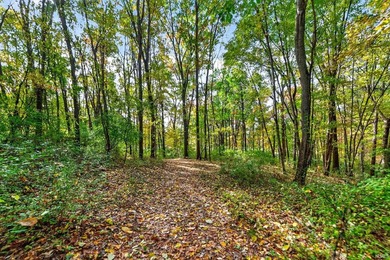 Professionally staked and secluded 175 acre retreat including 1 - photo 6