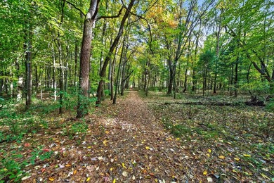 Professionally staked and secluded 175 acre retreat including 1 - photo 9