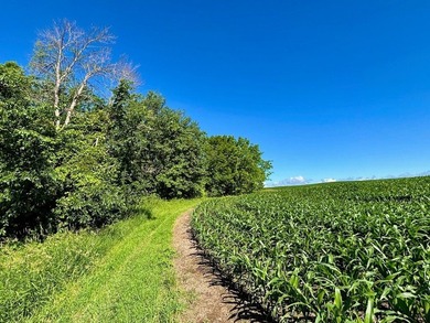 Exceptional ridgetop build site overlooking Lake Pepin! This - photo 11