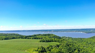 Exceptional ridgetop build site overlooking Lake Pepin! This - photo 13