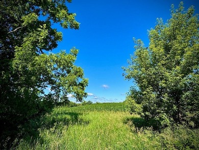 Exceptional ridgetop build site overlooking Lake Pepin! This - photo 14