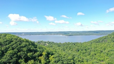 Exceptional ridgetop build site overlooking Lake Pepin! This - photo 16