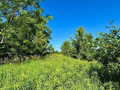 Exceptional ridgetop build site overlooking Lake Pepin! This - photo 18