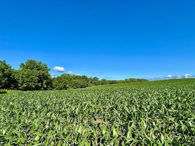 Exceptional ridgetop build site overlooking Lake Pepin! This - photo 20