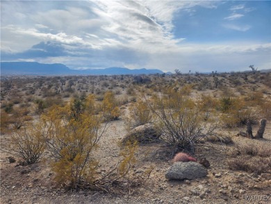 Lake Mead Lot For Sale in Meadview Arizona